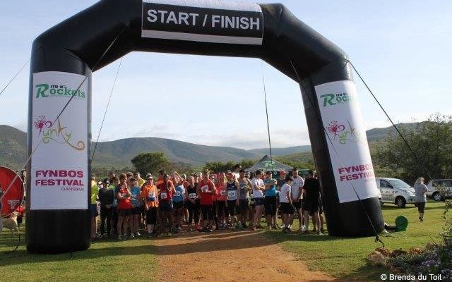 Cape Mohair Fynbos Trail run Cape Mohair Fynbos Trail run